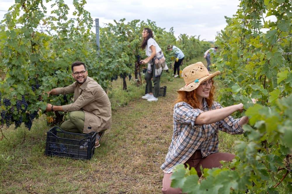 shutterstock_2183865913