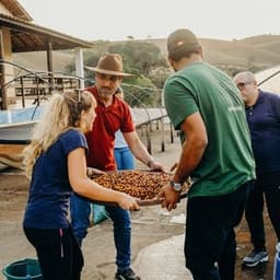 Produce Sorting & Post-Harvest Processing Assistant