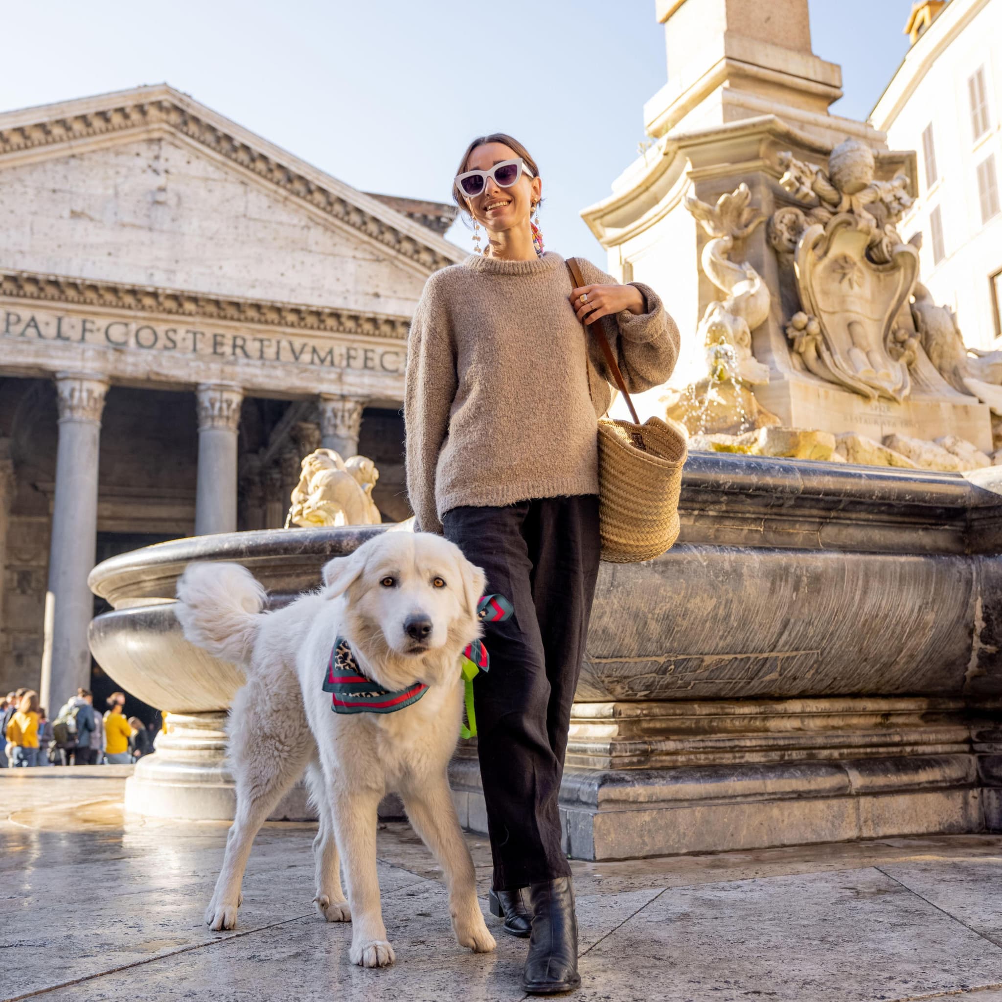 Pet-travel-safe-2-864x525